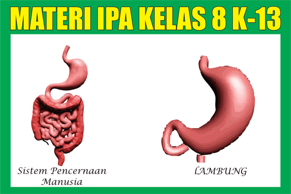 Detail Buku Ipa Kelas 8 Semester 1 Kurikulum 2013 Revisi 2018 Nomer 17