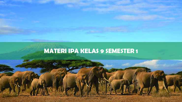 Detail Buku Ipa Kelas 9 Semester 1 Nomer 54