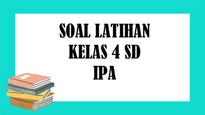 Detail Buku Ipa Kelas Iv Nomer 20