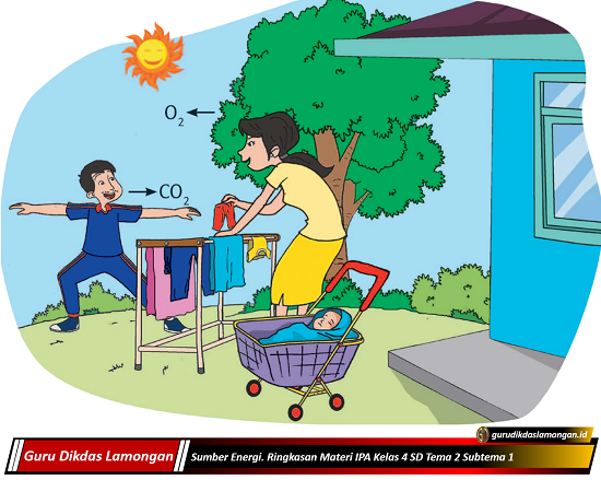 Detail Buku Ipa Kelas Iv Nomer 33