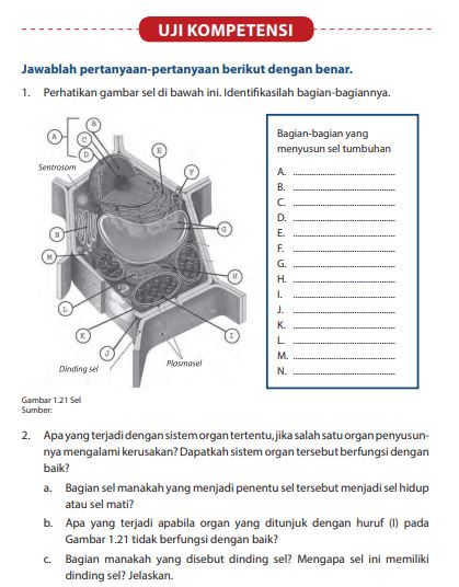 Detail Buku Ipa Semester 2 Nomer 37