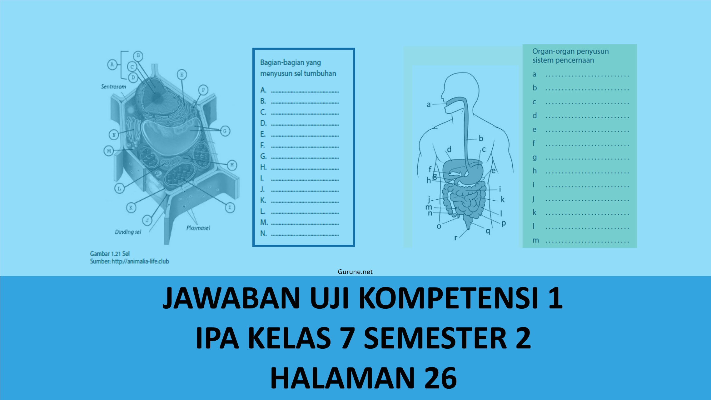 Detail Buku Ipa Semester 2 Kelas 7 Nomer 15