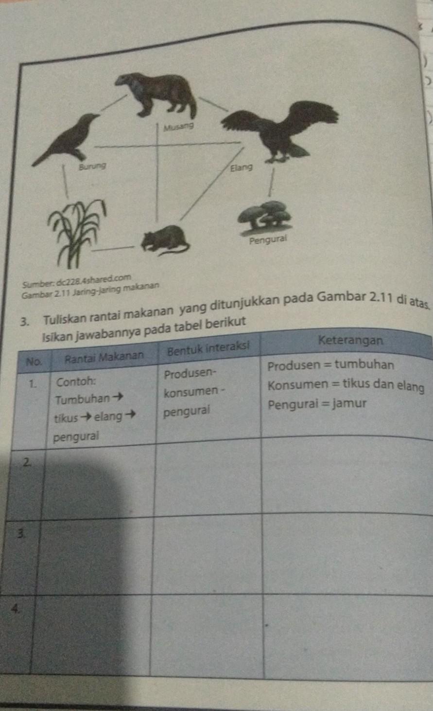 Detail Buku Ipa Semester 2 Kelas 7 Nomer 30