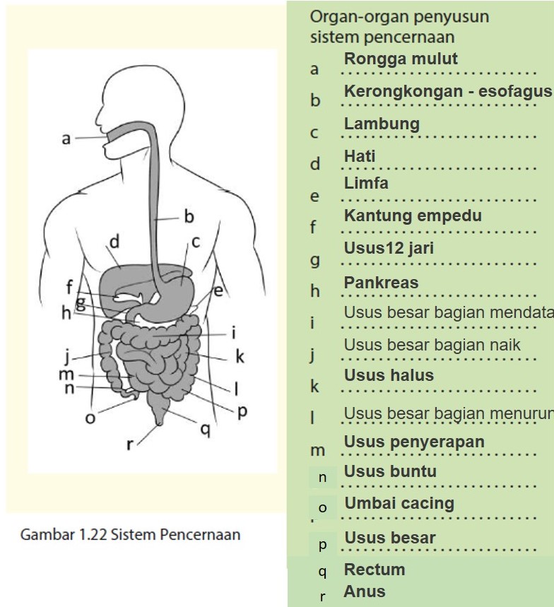 Detail Buku Ipa Semester 2 Kelas 7 Nomer 34