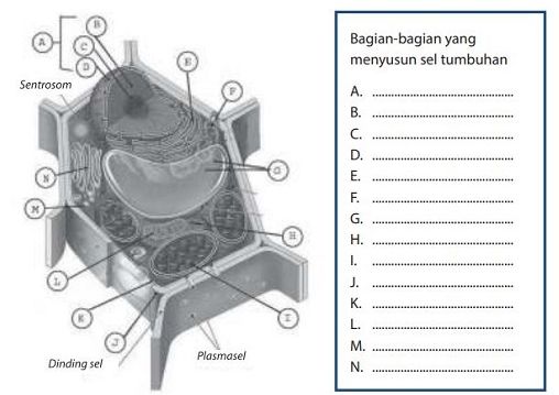 Detail Buku Ipa Semester 2 Kelas 7 Nomer 50