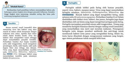 Detail Buku Ipa Smp Nomer 29