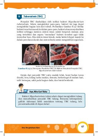 Detail Buku Ipa Smp Kelas 8 Nomer 27