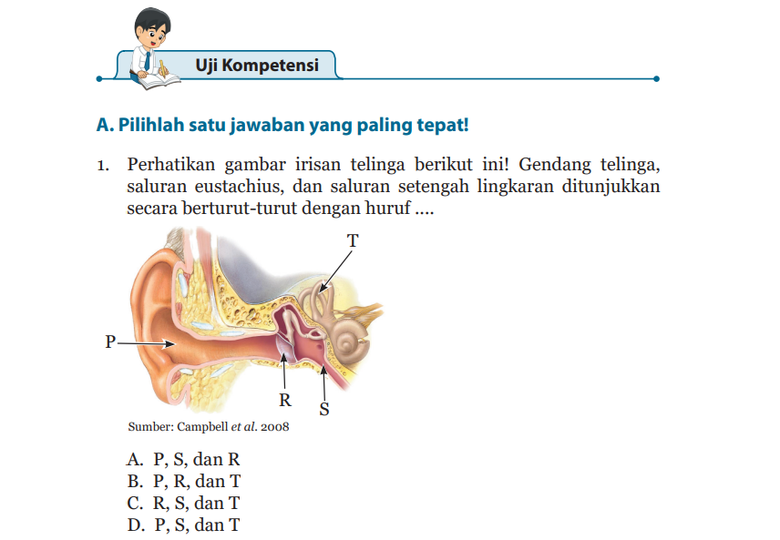 Detail Buku Ipa Smp Kelas 8 Nomer 32