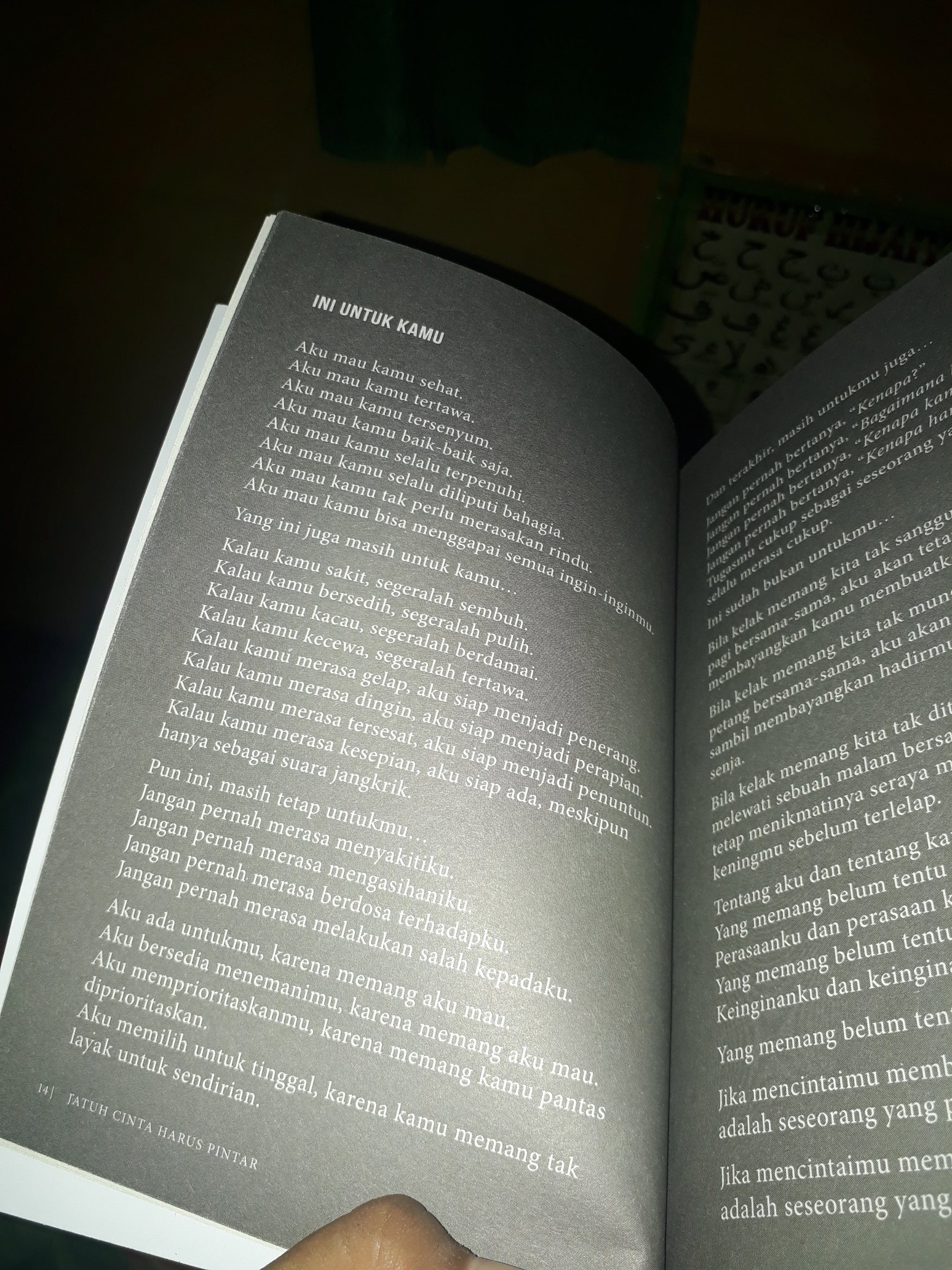 Detail Buku Jatuh Cinta Harus Pintar Nomer 5