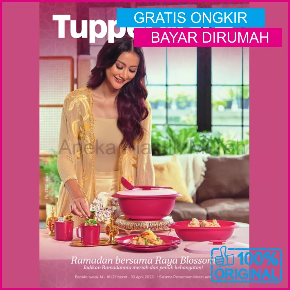 Detail Buku Katalog Tupperware Nomer 18