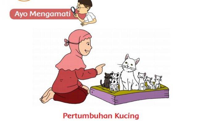 Detail Buku Kelas 3 Tema 1 Nomer 53