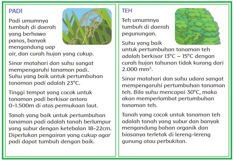 Detail Buku Kelas 4 Tema 3 Nomer 32