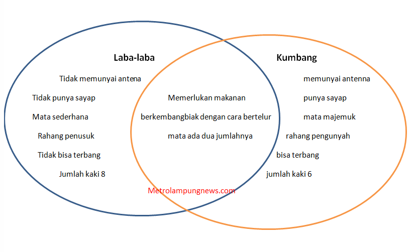 Detail Buku Kelas 4 Tema 3 Nomer 50