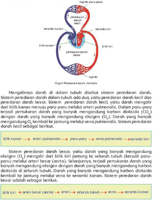 Detail Buku Kelas 5 Tema 4 Nomer 31