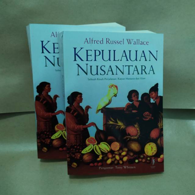 Detail Buku Kepulauan Nusantara Nomer 5