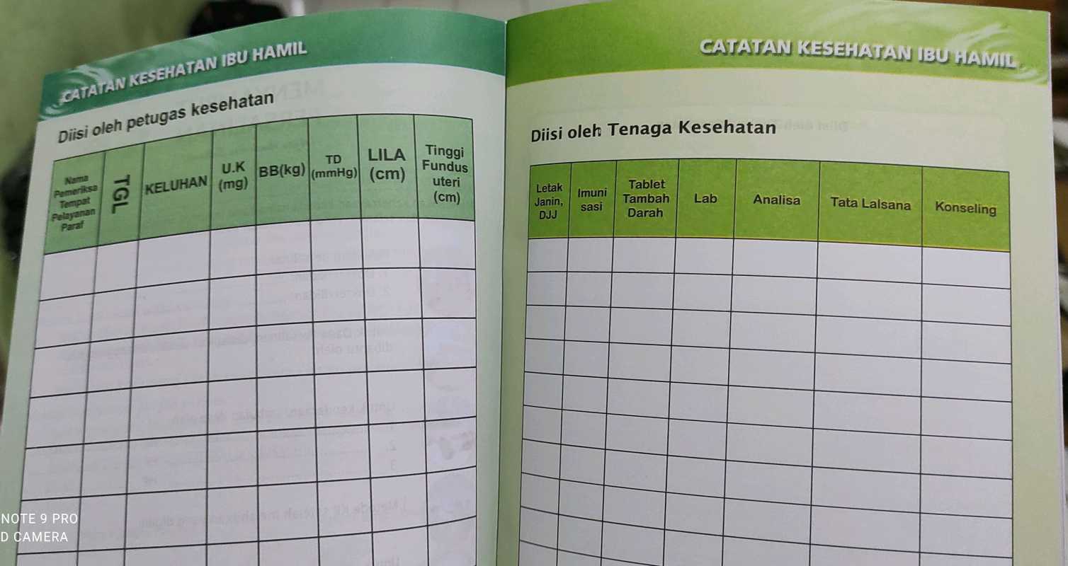 Detail Buku Kia Ibu Hamil Nomer 26