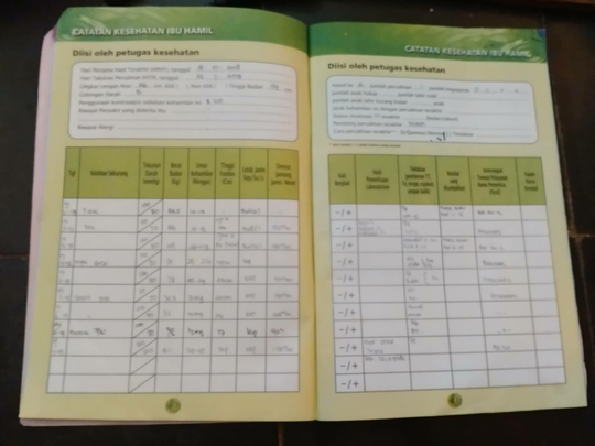 Detail Buku Kms Ibu Hamil Nomer 17