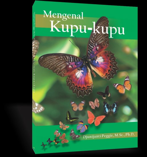 Detail Buku Kupu Kupu Nomer 4