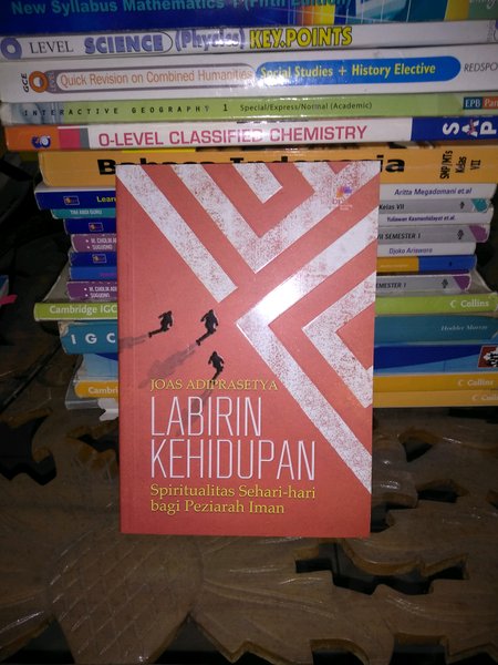 Detail Buku Labirin Kehidupan Nomer 12