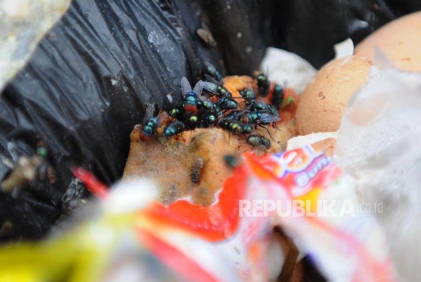 Detail Buku Lalat Dan Sampah Nomer 18