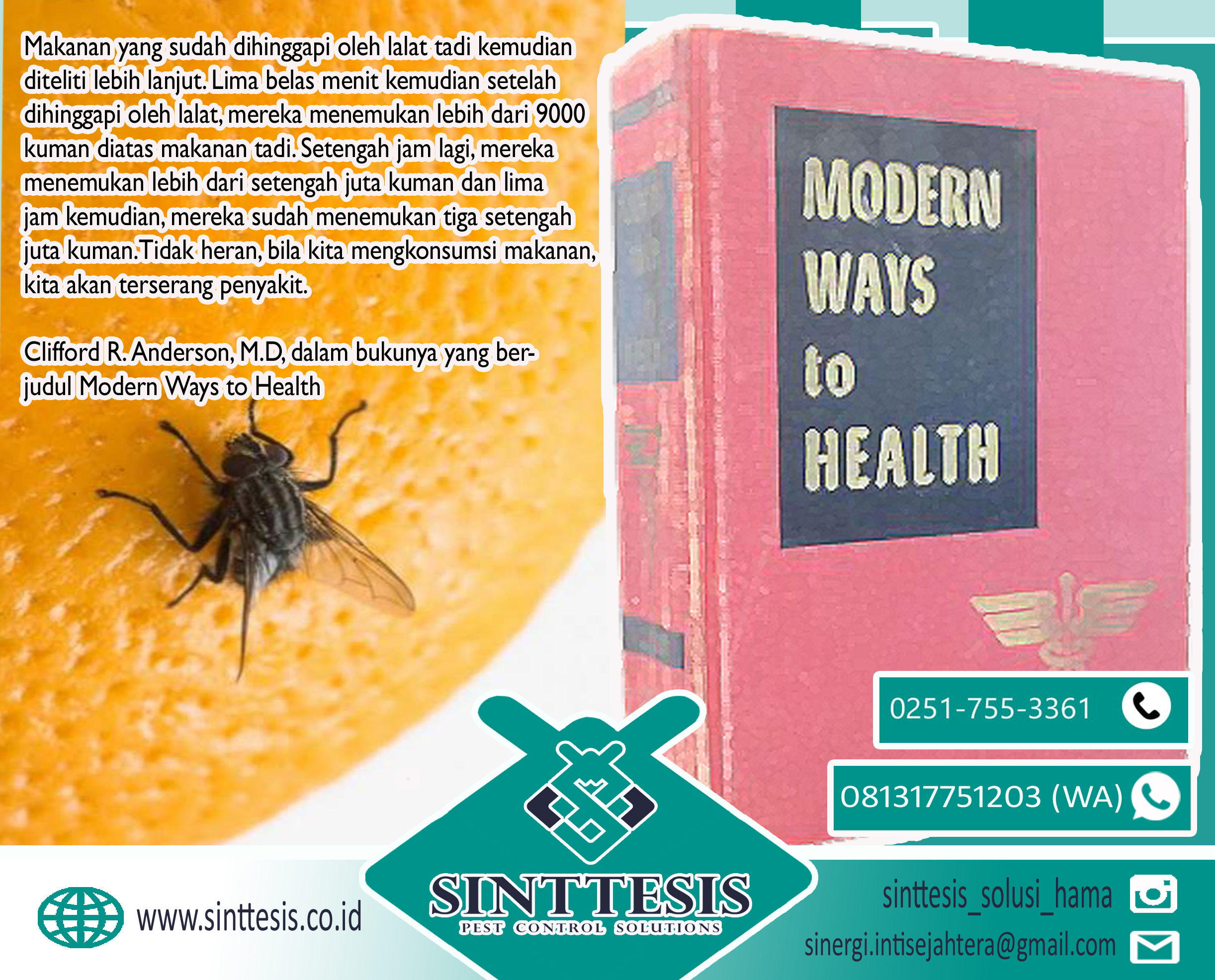 Detail Buku Lalat Dan Sampah Nomer 36