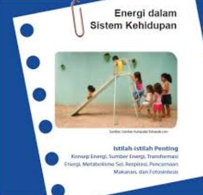 Detail Buku Latihan Soal Smp Kelas 7 Kurikulum 2013 Nomer 49