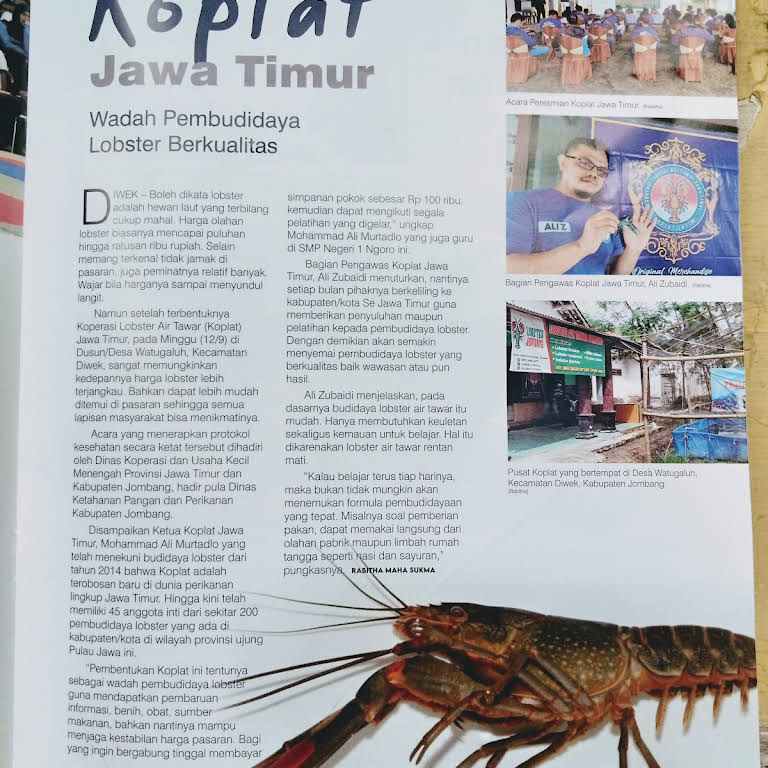 Detail Buku Lobster Air Tawar Nomer 44