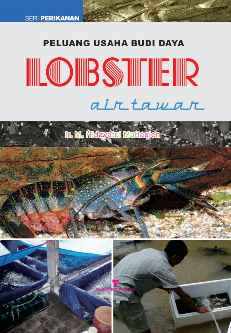 Detail Buku Lobster Air Tawar Nomer 7