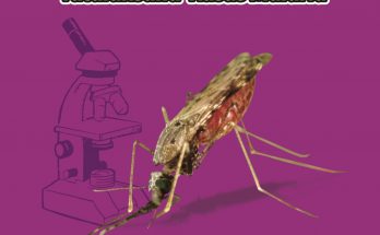 Detail Buku Malaria Terbaru Nomer 10