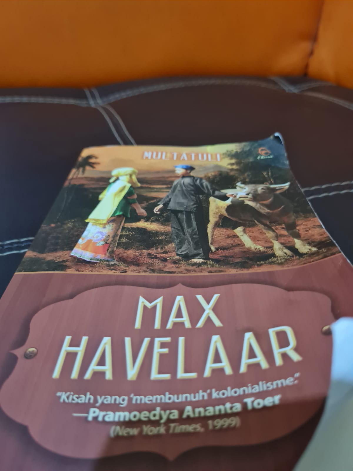 Detail Buku Max Havelaar Berisi Tentang Nomer 27