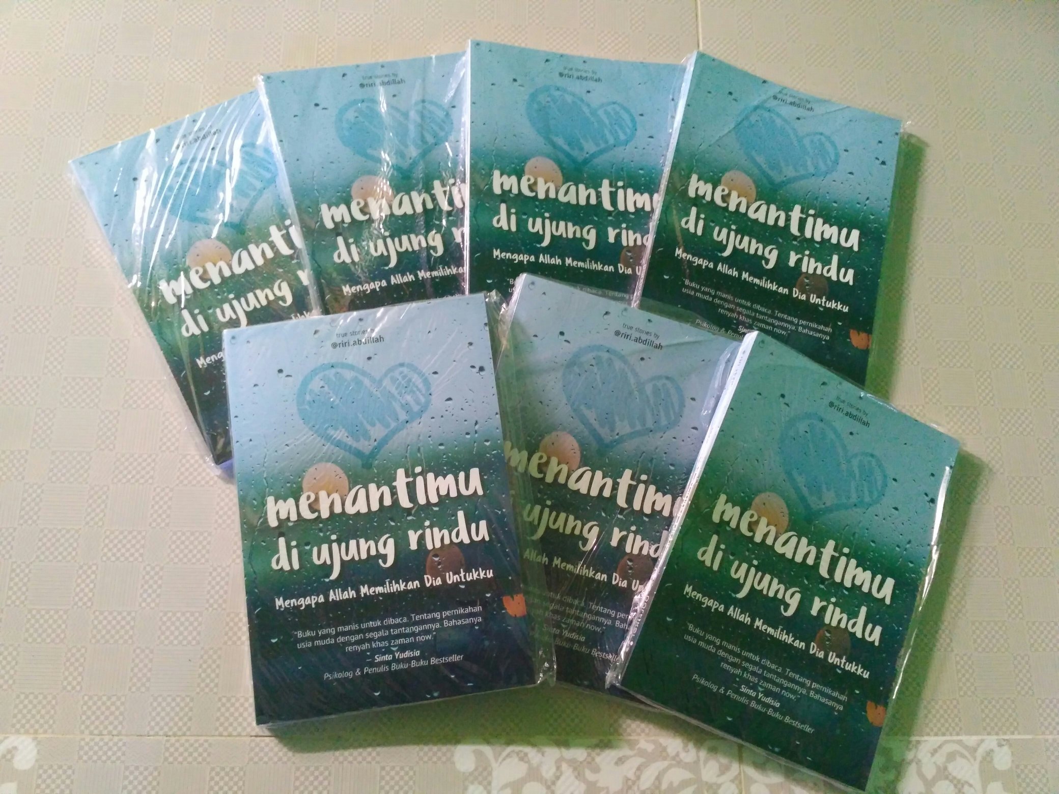 Detail Buku Menantimu Di Ujung Rindu Nomer 41