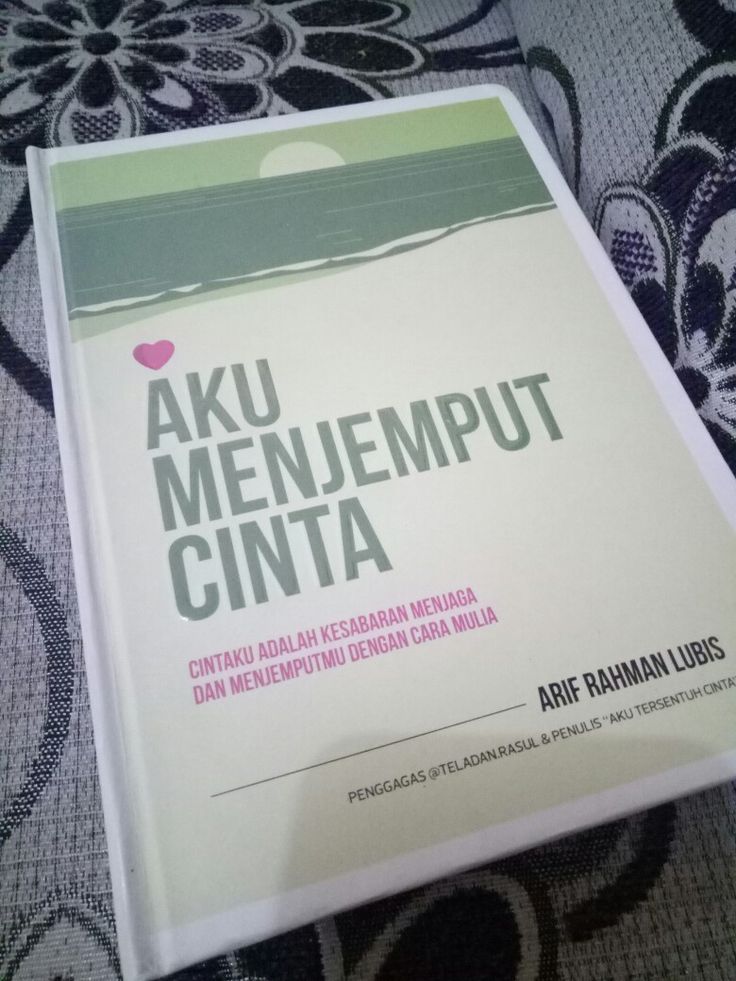 Detail Buku Menjemput Cinta Nomer 24