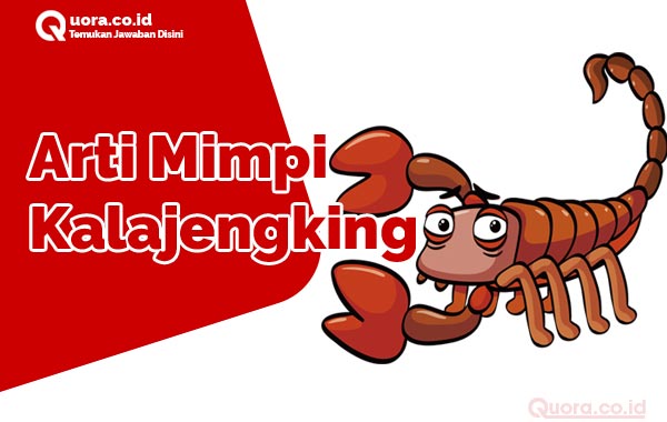 Detail Buku Mimpi 2d Kalajengking Nomer 26