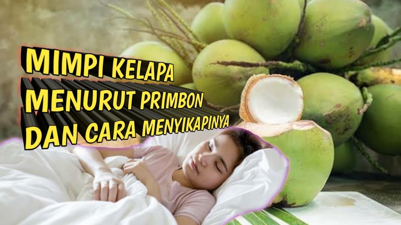 Detail Buku Mimpi 2d Kelapa Nomer 22