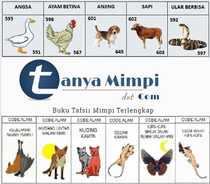 Detail Buku Mimpi 2d Kelapa Nomer 37