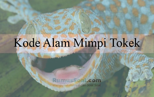 Detail Buku Mimpi 2d Tokek Nomer 17