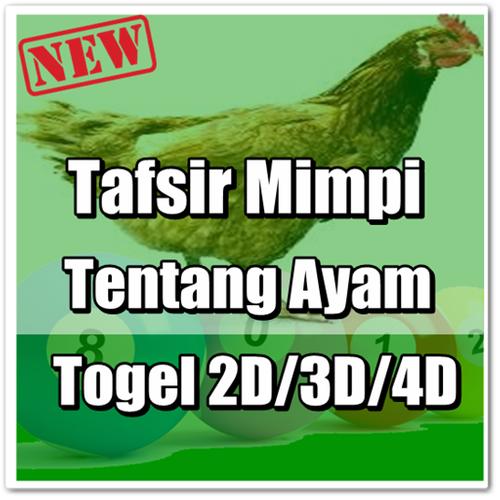 Detail Buku Mimpi 3d Ayam Nomer 12