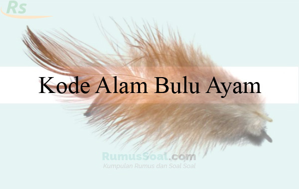 Detail Buku Mimpi 3d Ayam Nomer 49