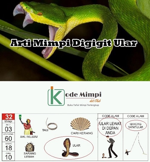 Detail Buku Mimpi 4d Ular Nomer 10