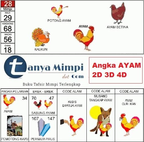 Buku Mimpi Anak Ayam - KibrisPDR