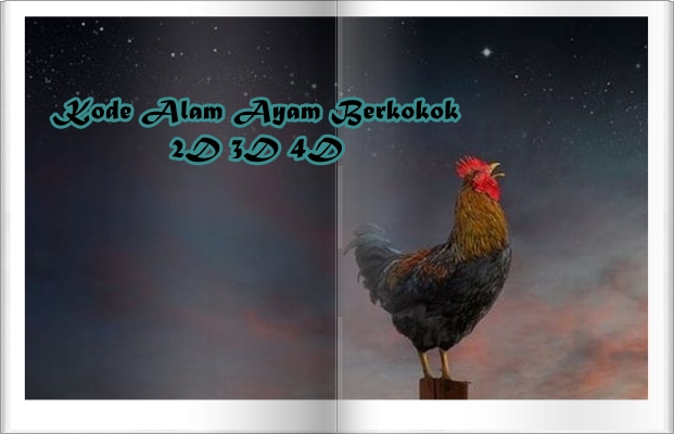 Detail Buku Mimpi Ayam Jago Nomer 19