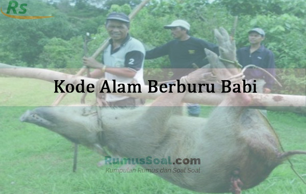 Detail Buku Mimpi Babi Hutan Nomer 26