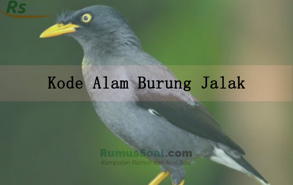 Detail Buku Mimpi Burung Nomer 14