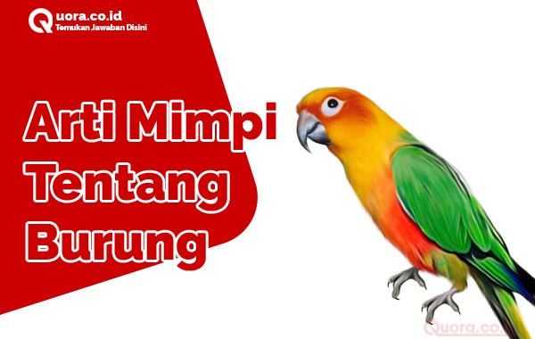 Detail Buku Mimpi Burung Dara Nomer 33