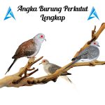 Detail Buku Mimpi Burung Perkutut Nomer 48