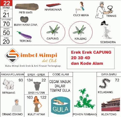 Detail Buku Mimpi Capung Nomer 5