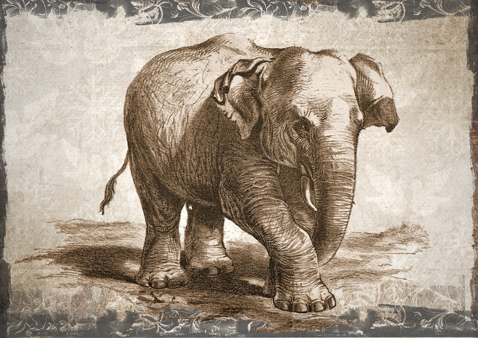Detail Buku Mimpi Gajah Nomer 13