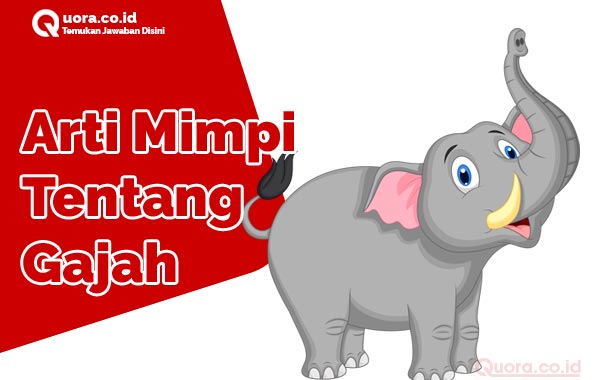 Detail Buku Mimpi Gajah Nomer 5