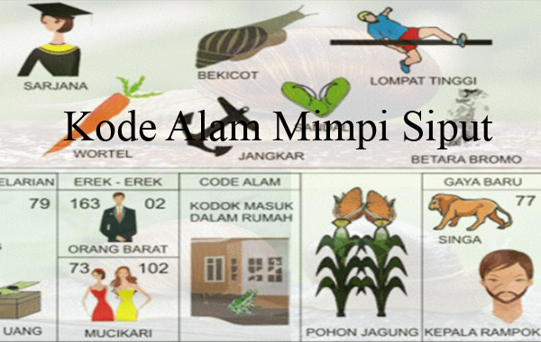 Detail Buku Mimpi Kadal Nomer 42