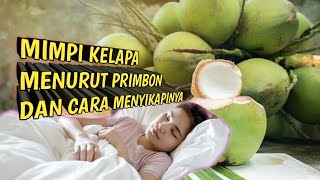 Detail Buku Mimpi Kelapa Nomer 29